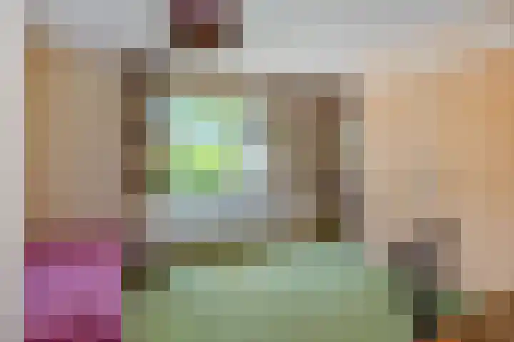Beatrixlaan 25 Someren thumbnail 32