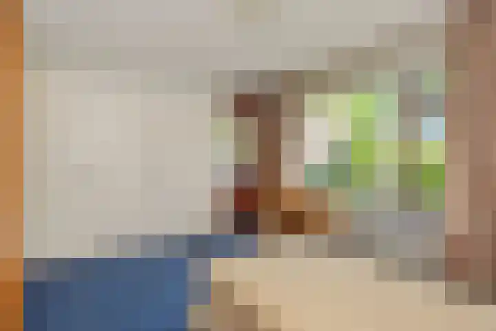 Beatrixlaan 25 Someren thumbnail 38