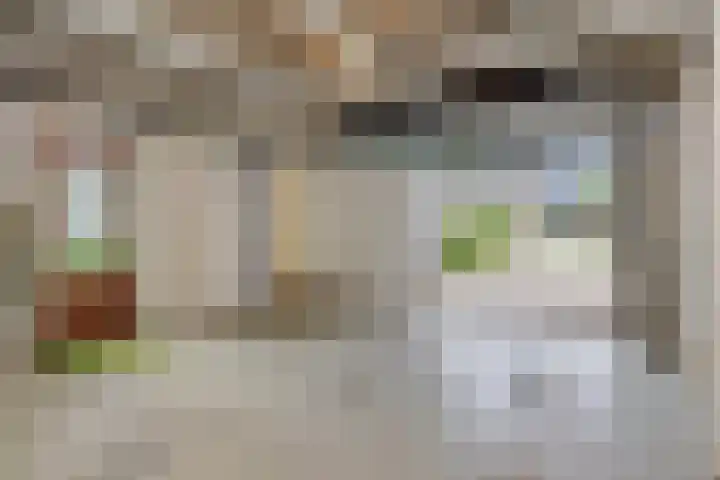 Beatrixlaan 25 Someren thumbnail 41