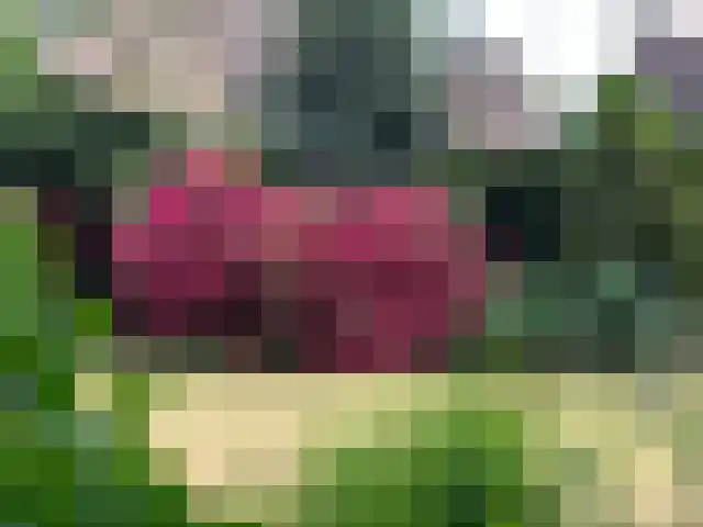 Beatrixlaan 25 Someren thumbnail 54
