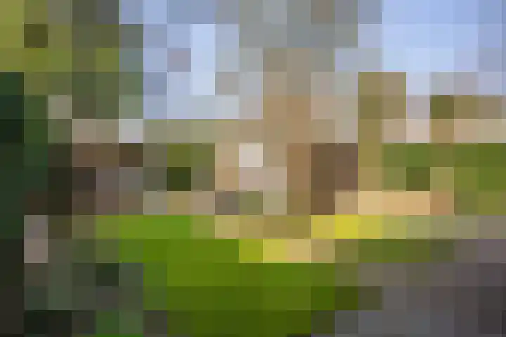 Beatrixlaan 30 Ede thumbnail 50