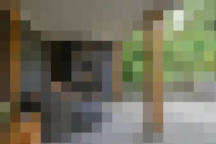 Beatrixlaan 31 Soest thumbnail 11
