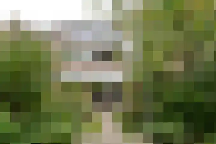 Beatrixlaan 31 Soest thumbnail 25
