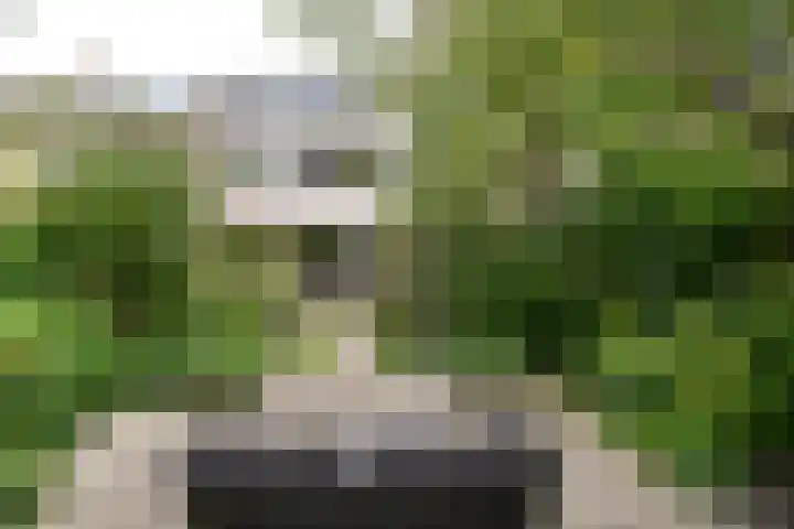 Beatrixlaan 31 Soest thumbnail 26