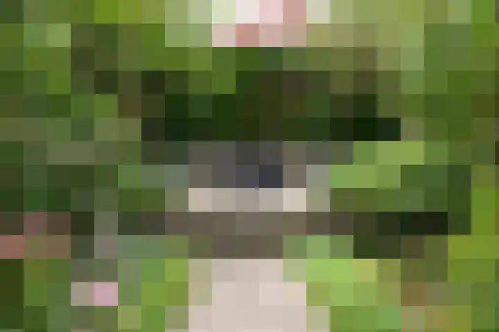 Beatrixlaan 31 Soest thumbnail 27