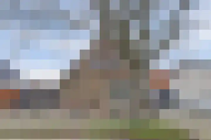 Beatrixlaan 42 Goes thumbnail 4