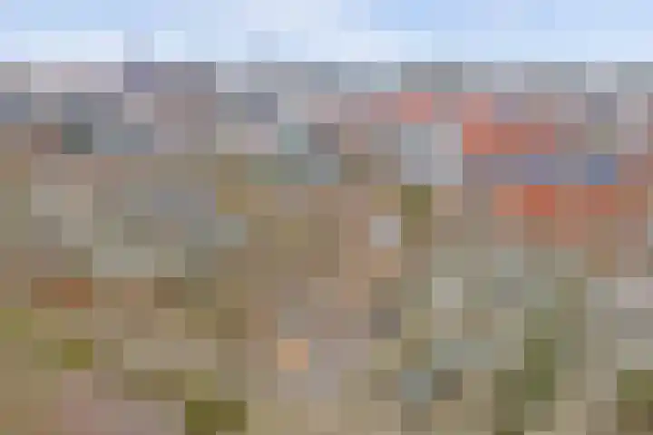 Beatrixlaan 42 Goes thumbnail 47