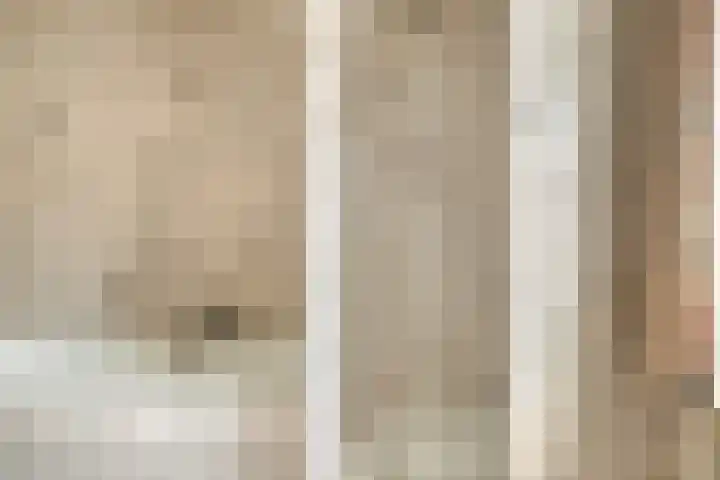 Beatrixlaan 6 Bladel thumbnail 25