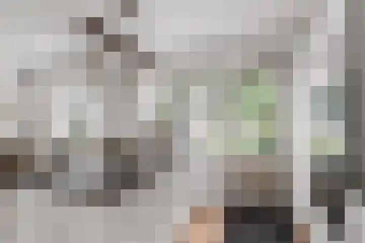 Beatrixlaan 8 A Hummelo thumbnail 11
