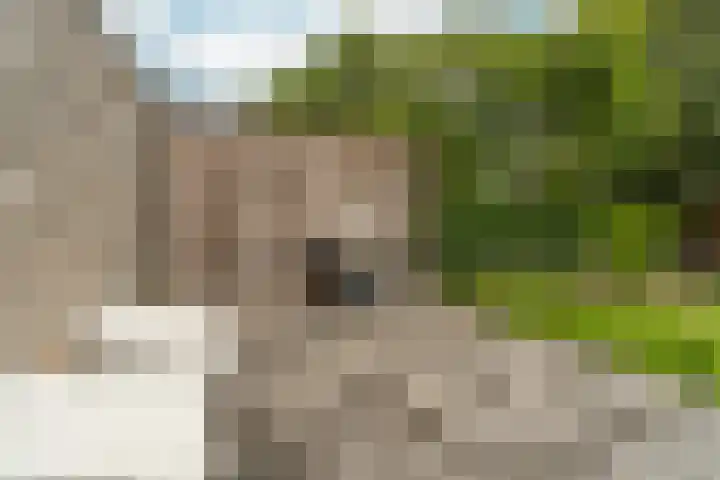 Beatrixlaan 8 A Hummelo thumbnail 16