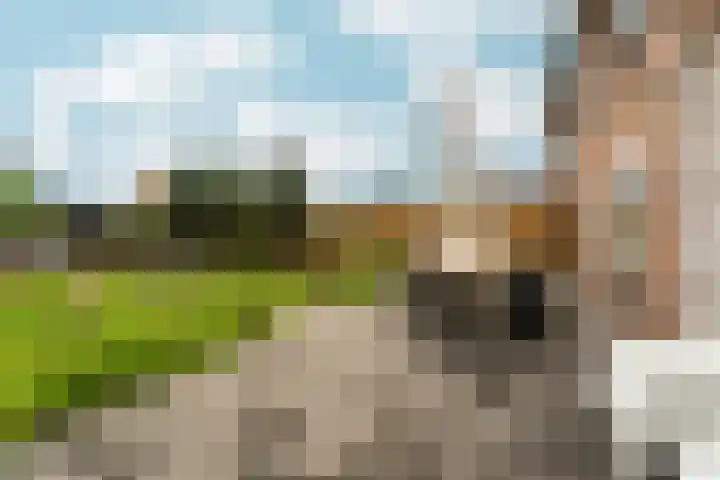 Beatrixlaan 8 A Hummelo thumbnail 17
