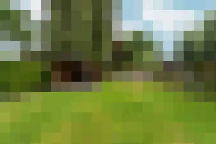 Beatrixlaan 8 A Hummelo thumbnail 21