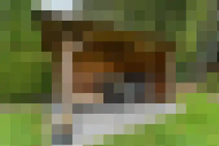 Beatrixlaan 8 A Hummelo thumbnail 22