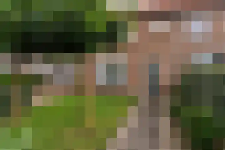 Beatrixlaan 8 A Hummelo thumbnail 26