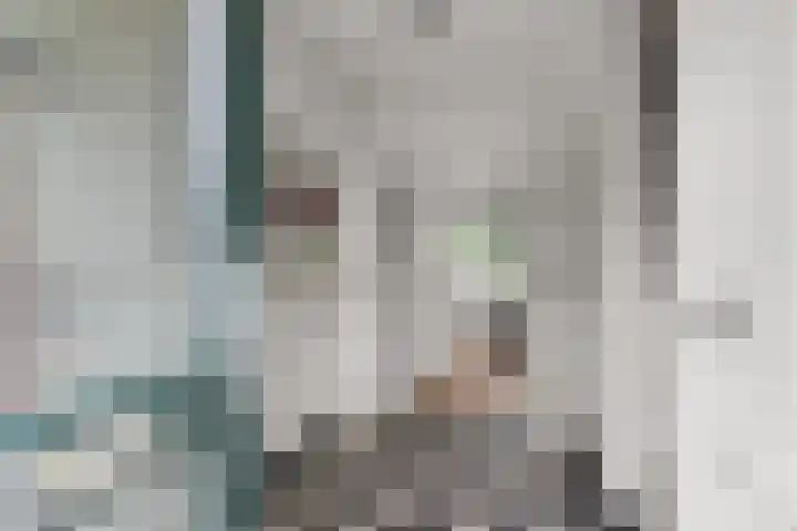 Beatrixlaan 8 A Hummelo thumbnail 27
