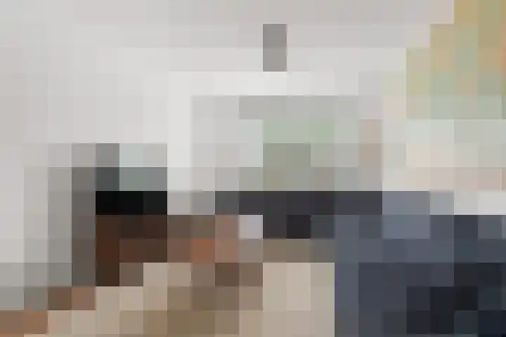 Beatrixlaan 8 A Hummelo thumbnail 4