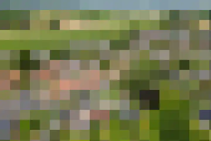 Beatrixlaan 8 A Hummelo thumbnail 45