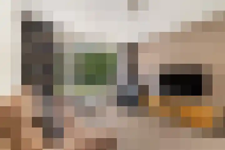 Beatrixlaan 8 Putten thumbnail 15