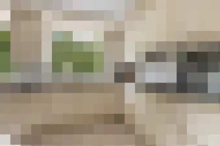 Beatrixlaan 8 Putten thumbnail 25