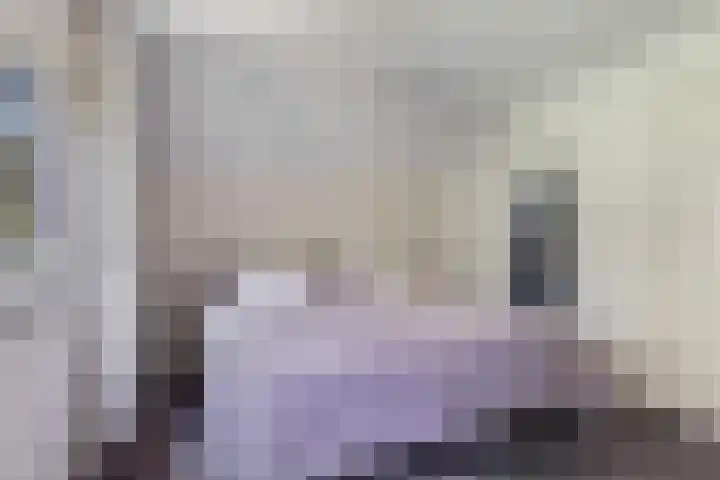 Beatrixlaan 8 Putten thumbnail 33