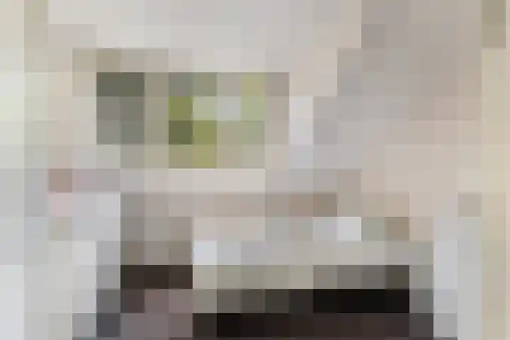 Beatrixlaan 8 Putten thumbnail 35