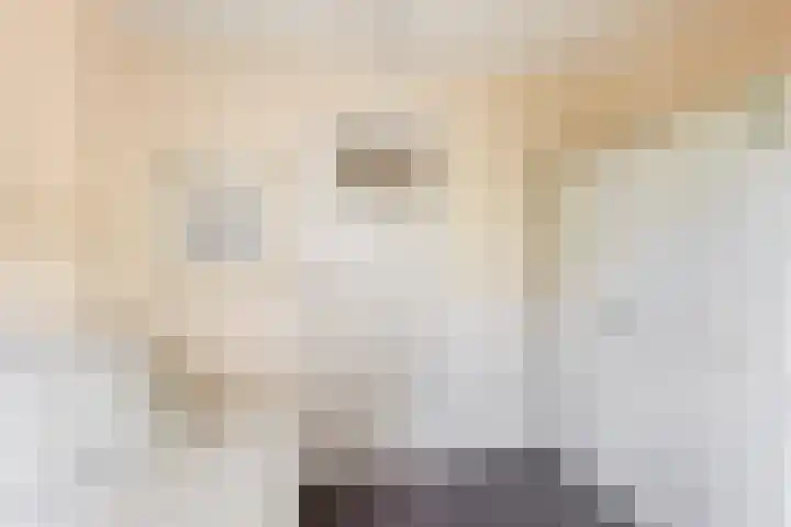 Beatrixlaan 8 Putten thumbnail 39