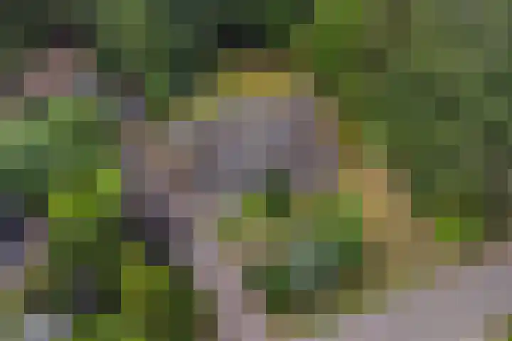 Beatrixlaan 8 Putten thumbnail 4