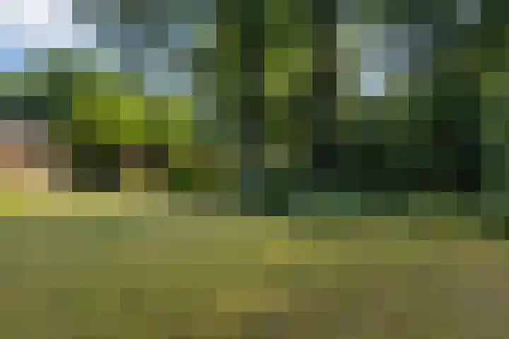 Beatrixlaan 8 Putten thumbnail 46