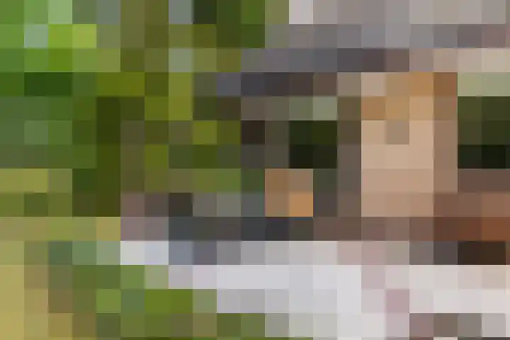 Beatrixlaan 8 Putten thumbnail 48