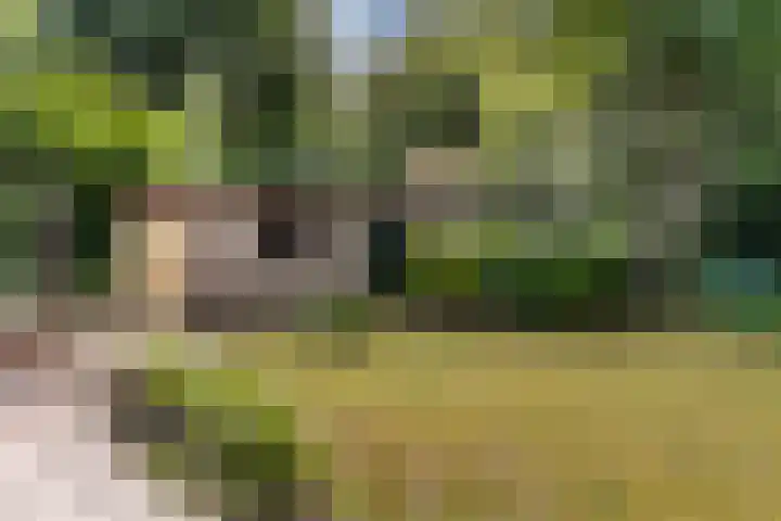 Beatrixlaan 8 Putten thumbnail 51