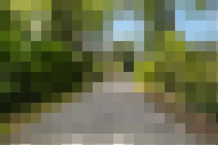 Beatrixlaan 8 Putten thumbnail 54