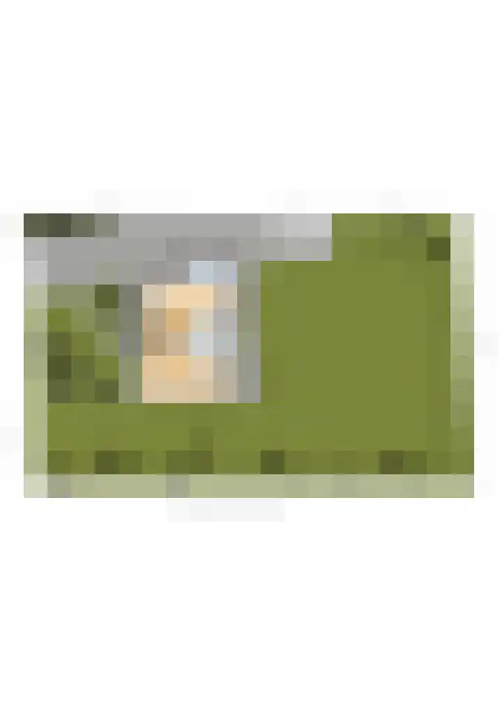 Beatrixlaan 8 Putten thumbnail 60