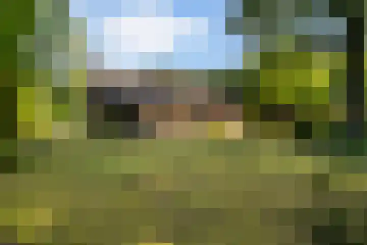 Beatrixlaan 8 Putten thumbnail 7