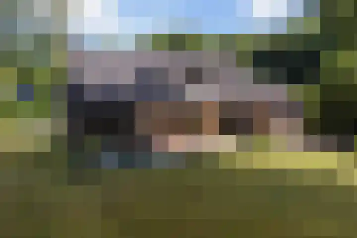 Beatrixlaan 8 Putten thumbnail 9