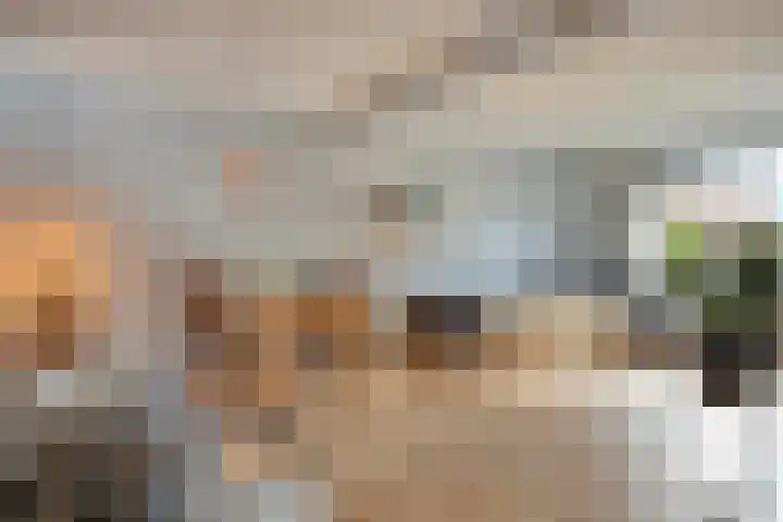 Beatrixlaan 8 Ruurlo thumbnail 6