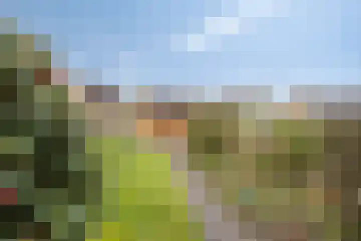 Beatrixlaan 8 Ruurlo thumbnail 8
