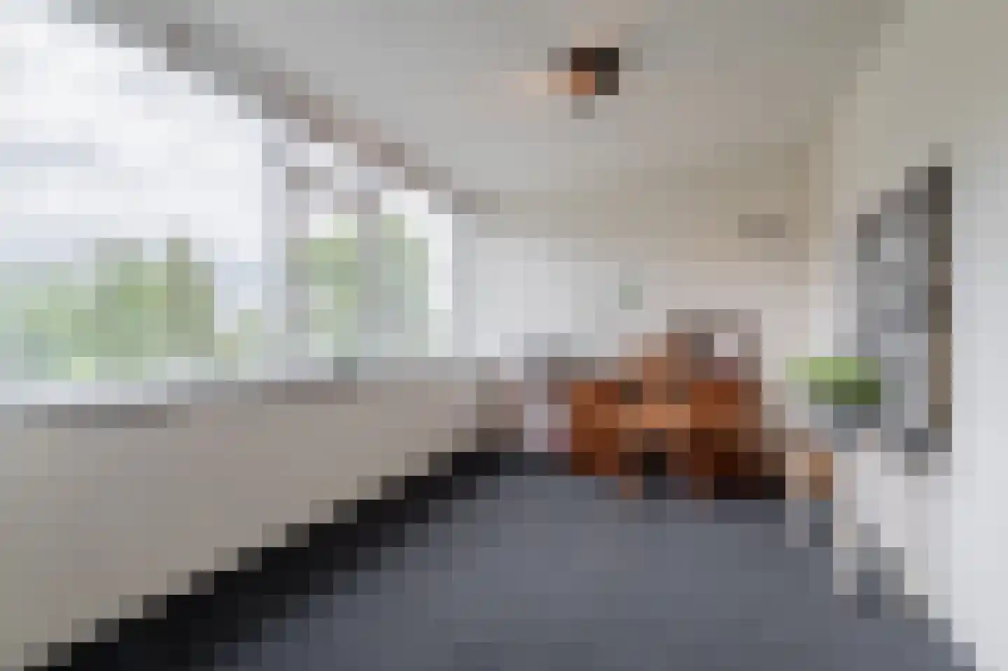 Beatrixlaan 9 Kaag thumbnail 27