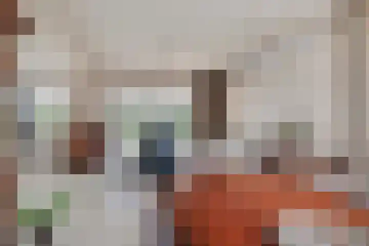 Beatrixlaan 9 Someren thumbnail 10