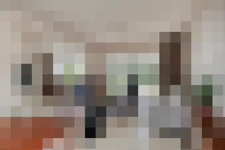 Beatrixlaan 9 Someren thumbnail 11