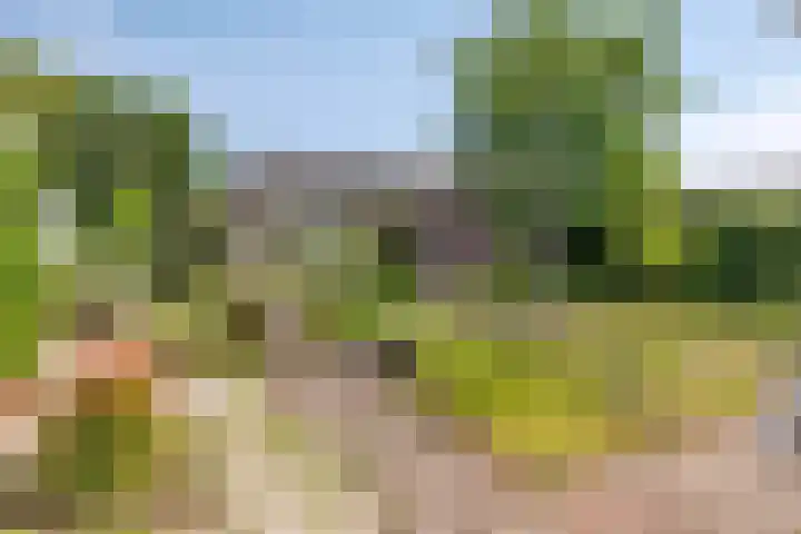 Beatrixlaan 9 Someren thumbnail 33