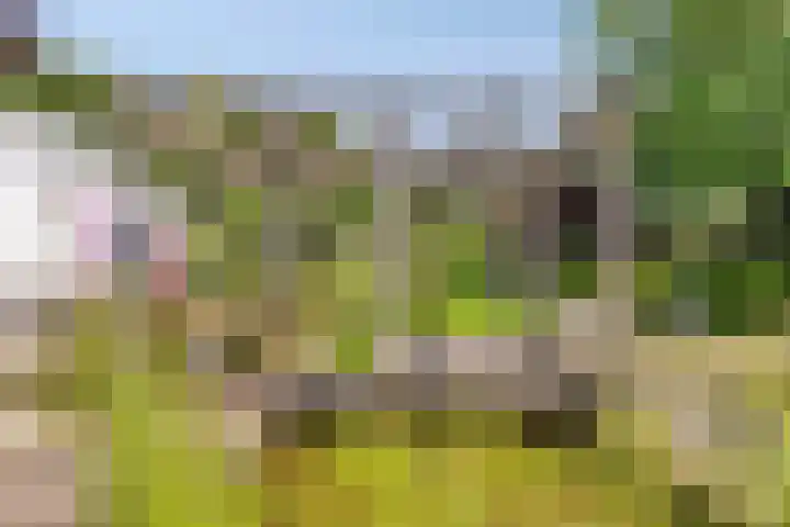 Beatrixlaan 9 Someren thumbnail 34