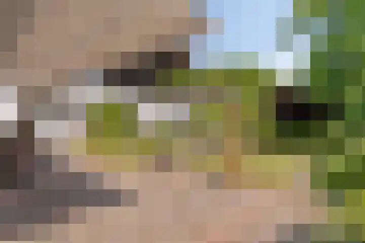 Beatrixlaan 9 Someren thumbnail 35