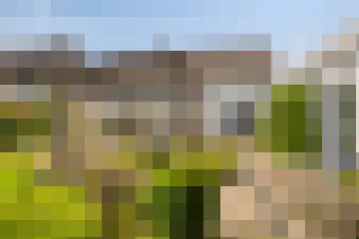 Beatrixlaan 9 Someren thumbnail 37