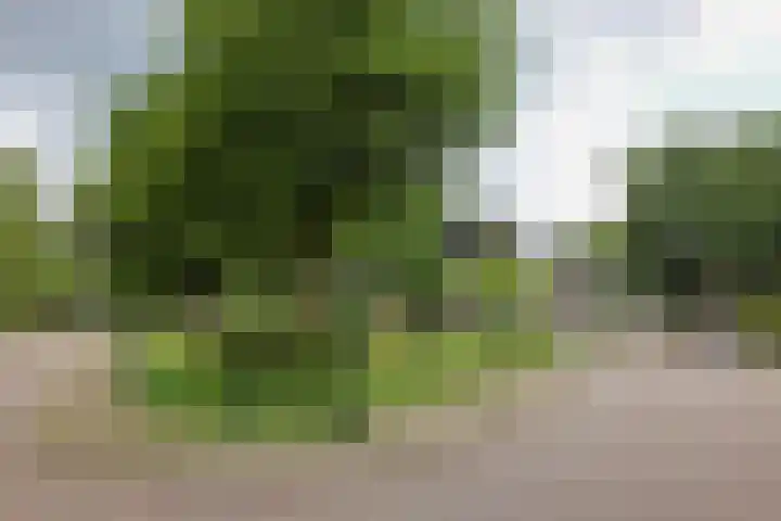 Beatrixplein 3 Ede thumbnail 4