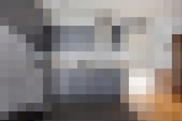 Beatrixsingel 45 Vlodrop thumbnail 14