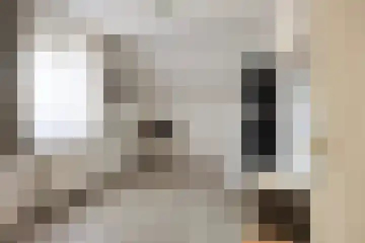 Beatrixsingel 45 Vlodrop thumbnail 20