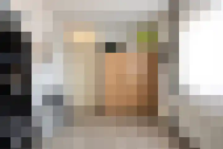 Beatrixsingel 45 Vlodrop thumbnail 21