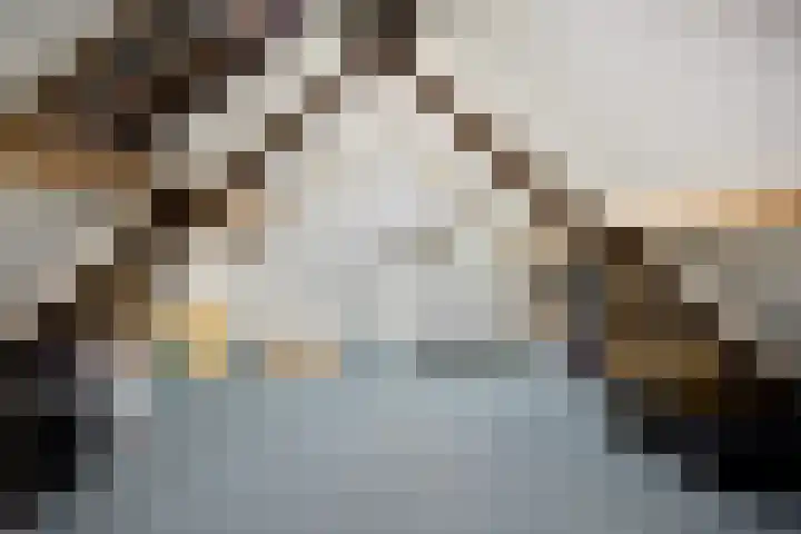 Beatrixsingel 45 Vlodrop thumbnail 26