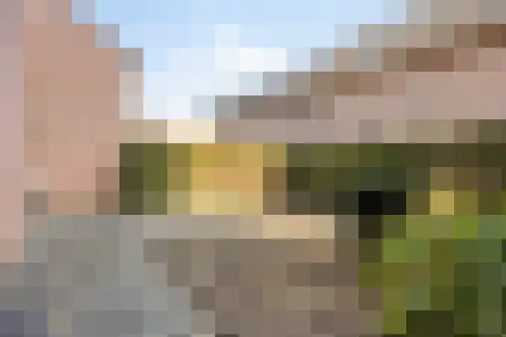 Beatrixsingel 45 Vlodrop thumbnail 31