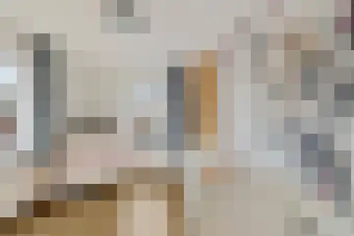 Beatrixstraat 10 Borger thumbnail 20